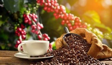 Thương thiệu cà phê Việt Nam nổi tiếng trên thế giới
