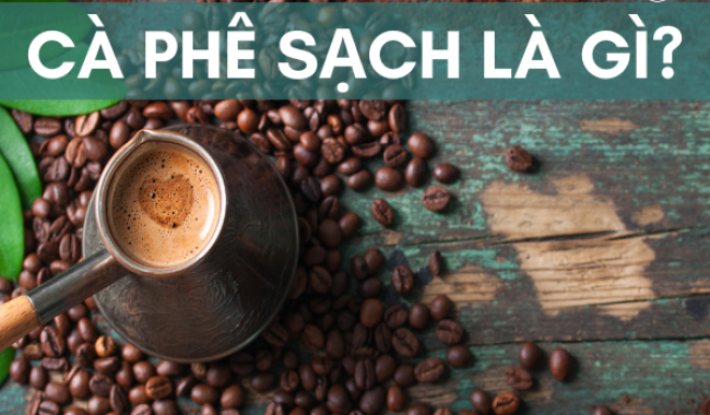 Cà phê sạch là gì? Cách phân biệt cà phê sạch và cà phê bẩn