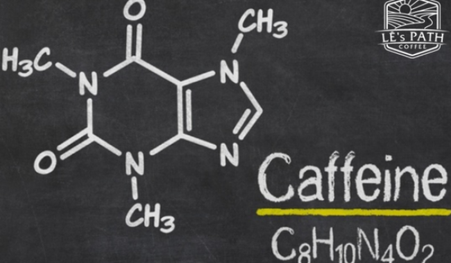 Caffeine là gì? Caffeine tốt hay xấu cho sức khỏe?