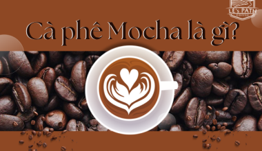 Cà phê Mocha là gì? Cách pha cà phê Mocha vị nguyên bản