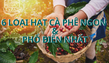 6 loại hạt cà phê ngon và phổ biến nhất tại Việt Nam