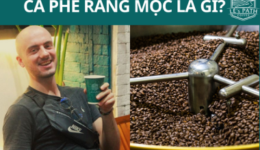 Cà phê rang Mộc là gì? Những điều cần biết khi sử dụng