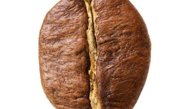 Cà phê Robusta và Arabica loại nào ngon hơn?